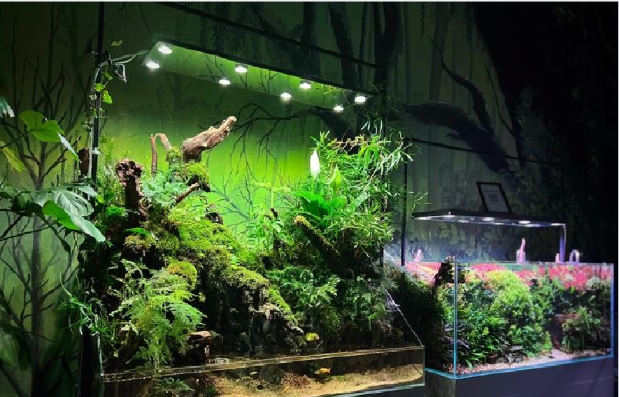 santhigirifest_aquapetshow