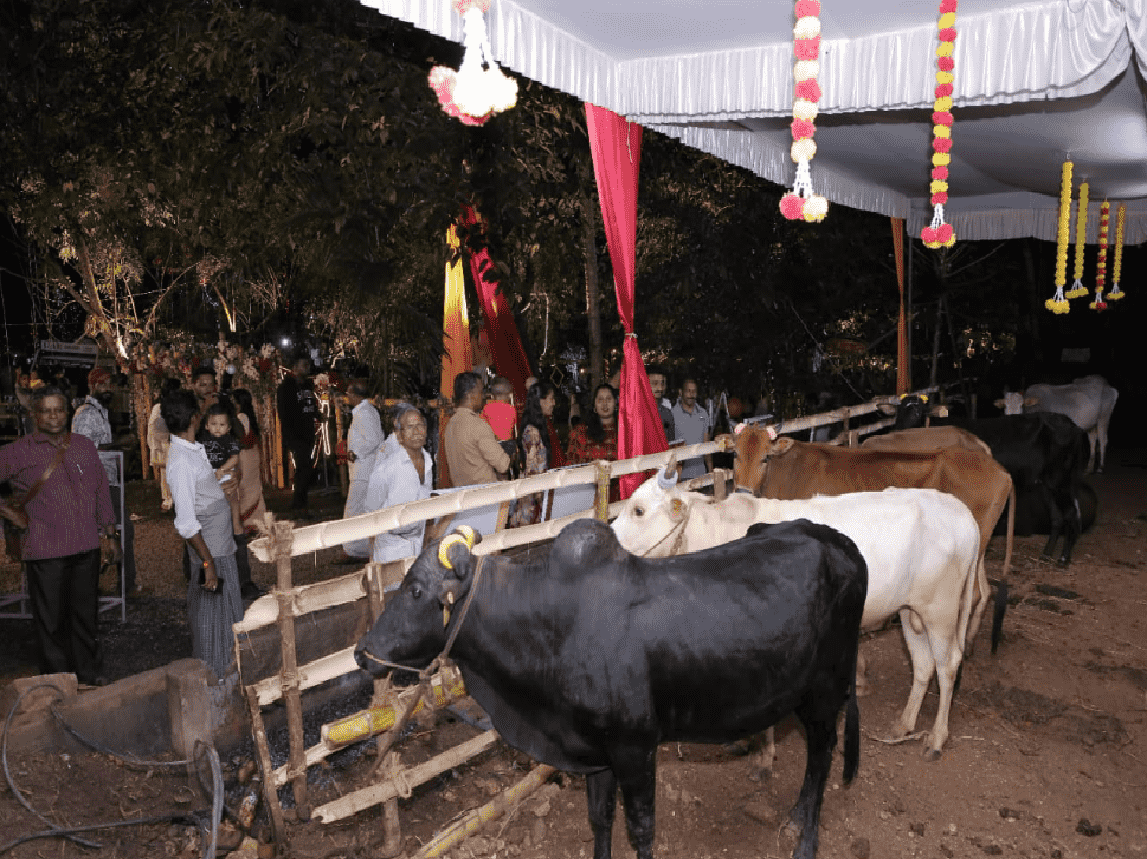 santhigiri_fest_pets