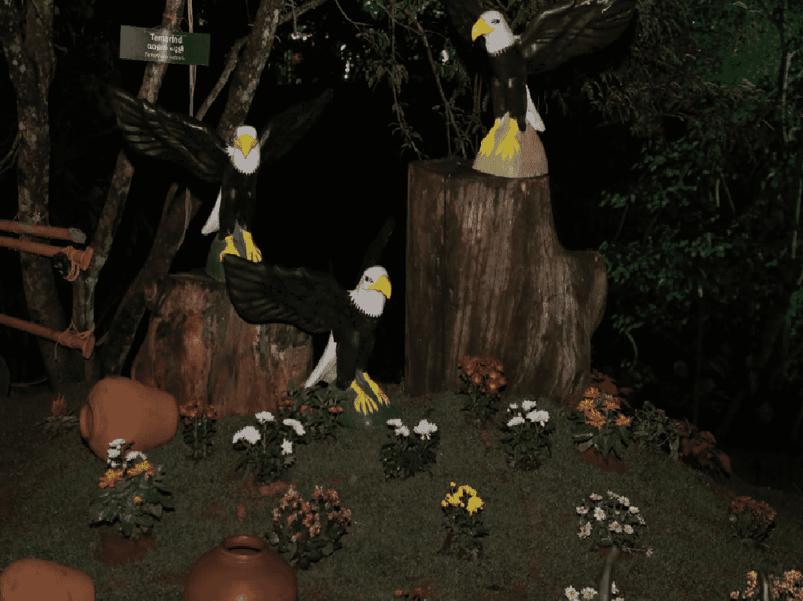 santhigiri_fest_garden