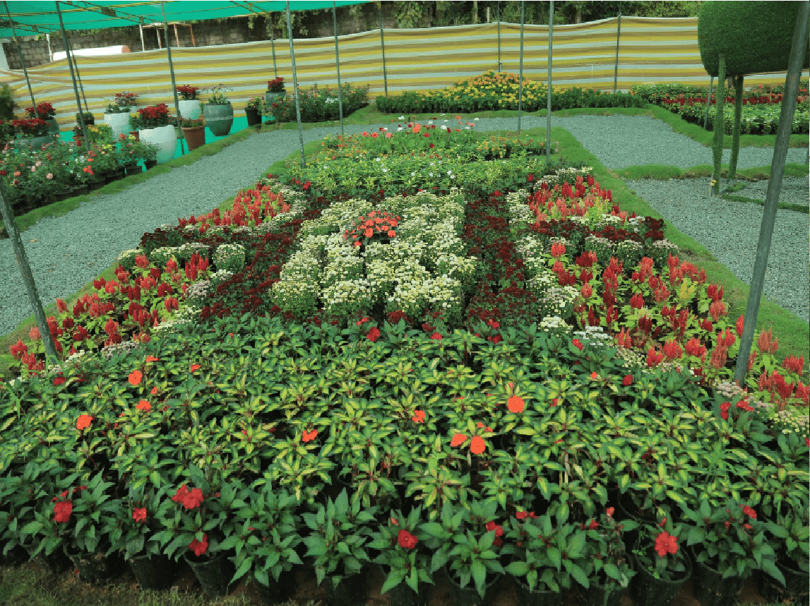 santhigiri_fest_2024